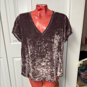Cloth & Stone velvet top shirt blouse